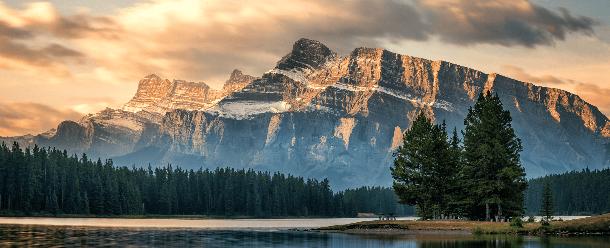 Canadian landscape featuring a forest with mountains in the background.