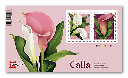 Souvenir Sheet Overprint of 2 stamps